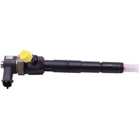 Injector Nozzle LUCAS Fits: VAUXHALL INSIGNIA