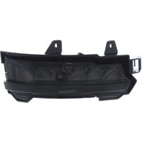 Mirror Indicator - Right Hand - Single - Clear (led) Fits: Jaguar/Daimler E Pace 1.5