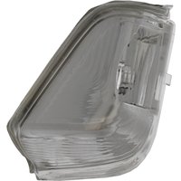 Mirror Indicator - Wy16w - Left Hand - Single - Clear Fits: Mercedes Benz Sprinter 316 1.8