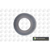 Differential Shaft Seal - Front Rh Bga