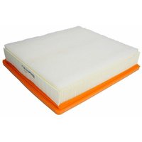 Air Filter PURFLUX Fits: RENAULT MASTER