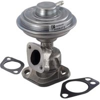 Egr Valve PIERBURG Fits: AUDI A6
