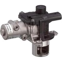 PIERBURG Dacia Sandero Egr Valve | 7.00368.15.0 | GSF Car Parts