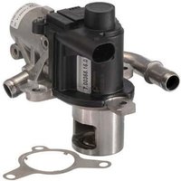 PIERBURG Dacia Sandero Egr Valve | 7.00368.16.0 | GSF Car Parts
