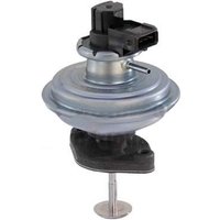 PIERBURG BMW X3 Egr Valve | 7.00684.14.0 | GSF Car Parts