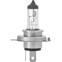 Headlight Bulb Ring Fits: TOYOTA LAND CRUISER