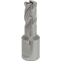 SEALEY Mag Drill Bit Hss Ø13mm - Cut Depth 25mm | RBHSS13S | GSF Car Parts