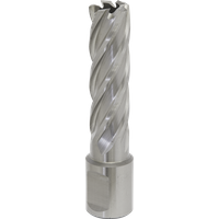 SEALEY Mag Drill Bit Hss Ø16mm - Cut Depth 50mm | RBHSS16L | GSF Car Parts