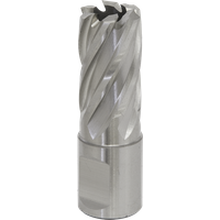SEALEY Mag Drill Bit Hss Ø18mm - Cut Depth 25mm | RBHSS18S | GSF Car Parts
