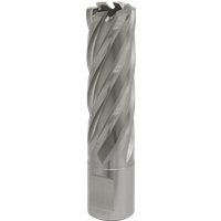 SEALEY Mag Drill Bit Hss Ø19mm - Cut Depth 50mm | RBHSS19L | GSF Car Parts