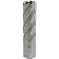 SEALEY Mag Drill Bit Hss Ø20mm - Cut Depth 50mm | RBHSS20L | GSF Car Parts