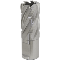 SEALEY Mag Drill Bit Hss Ø20mm - Cut Depth 25mm | RBHSS20S | GSF Car Parts