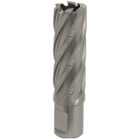 SEALEY Mag Drill Bit Hss Ø21mm - Cut Depth 50mm | RBHSS21L | GSF Car Parts