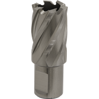 SEALEY Mag Drill Bit Hss Ø22mm - Cut Depth 25mm | RBHSS22S | GSF Car Parts