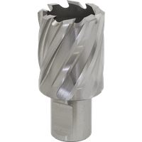 SEALEY Mag Drill Bithss Ø29mm - Cut Depth 25mm | RBHSS29S | GSF Car Parts