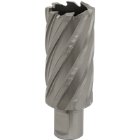 SEALEY Mag Drill Bit Hss Ø31mm - Cut Depth 50mm | RBHSS31L | GSF Car Parts