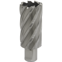 SEALEY Mag Drill Bit Hss Ø32mm - Cut Depth 50mm | RBHSS32L | GSF Car Parts
