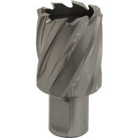 SEALEY Mag Drill Bit Hss Ø32mm - Cut Depth 25mm | RBHSS32S | GSF Car Parts