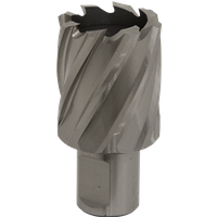 SEALEY Mag Drill Bit Hss Ø33mm - Cut Depth 25mm | RBHSS33S | GSF Car Parts
