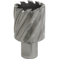 SEALEY Mag Drill Bit Hss Ø35mm - Cut Depth 25mm | RBHSS35S | GSF Car Parts