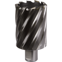 SEALEY Mag Drill Bit Hss Ø46mm - Cut Depth 50mm | RBHSS46L | GSF Car Parts
