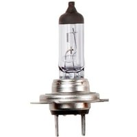 Ring Mercedes-Benz C-Class 12V Bulb - H7 477/499 | R477 | GSF Car Parts