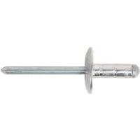 SEALEY Aluminium Multi-Grip Rivet Large Flange Ø4.8 X 13mm Pack Of 200 | RM4813L | GSF Car Parts