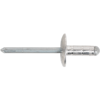 SEALEY Aluminium Multi-Grip Rivet Large Flange Ø4.8 X 19mm Pack Of 200 | RM4819L | GSF Car Parts