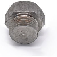 Blanking Plug A2a Fits: RENAULT KANGOO