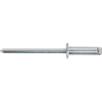 SEALEY Steel Rivet Standard Flange 4.8 X 16.5mm Pack Of 200 | RS48615 | GSF Car Parts