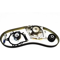 Ina Citroen Relay Cam / Timing Belt Kit & Water Pump | 530069130 | GSF Car Parts