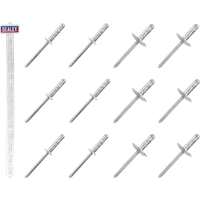 SEALEY Clip Strip Deal - Aluminium Rivets | RVSET | GSF Car Parts