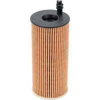 HENGST Oil Filter - Insert | E204HD218 | GSF Car Parts