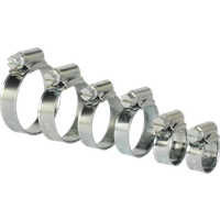 SEALEY Hose Clip Assortment 30Pc Ø8-29mm Zinc Plated | SHCS1 | GSF Car Parts