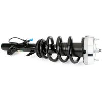 Shock Absorber - Lh Arnott Fits: BMW X6