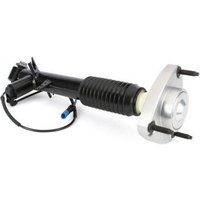 Shock Absorber - Rear Rh Arnott Fits: BMW X5