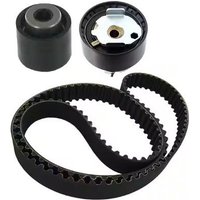 Timing Belt Kit Skf Fits: CITROEN BERLINGO Fits: CITROEN C4