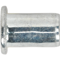 SEALEY Threaded Insert (Rivet Nut) M10 Regular Pack Of 50 | TIRM10 | GSF Car Parts