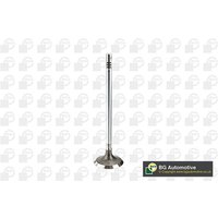Inlet Valve Bga Fits: VAUXHALL ADAM