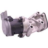 Egr Valve VALEO Fits: CITROËN C5 III Break (RW_)