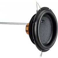 INPHASE Kevlar Cone 2 Ohm Dual Voice Coil 1000W Peak Power Subwoofer | XT-8 | GSF Car Parts