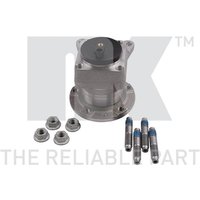 NK Radlager hinten Citroen Fiat Peugeot Toyota