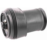 Vemo Luftfederbein hinten BMW X5 X6