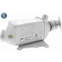 Vemo AGR-Kühler Alfa Romeo Fiat Jeep Opel