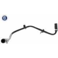 Vaico Unterdruckschlauch für Bremsanlage Audi A3 Skoda Octavia VW Bora Golf