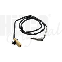 Hueco Abgastemperatursensor Dacia Renault