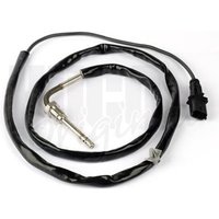 Hueco Abgastemperatursensor Opel Signum Vectra