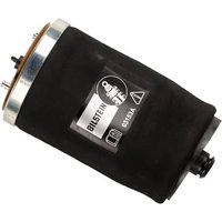 Bilstein Luftfeder hinten rechts BMW X5 E53