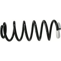 Sachs Feder hinten Peugeot 307 308