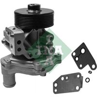 INA Wasserpumpe Ford Transit